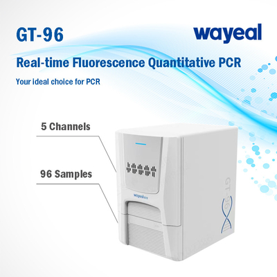 Analisador quantitativo de teste rápido 96 Wells do PCR da fluorescência do tempo real 5 canais